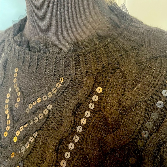 NWT EXPRESS Romantic Renaissance style sleeve sequin embellished sweater Blk SM - Picture 2 of 6